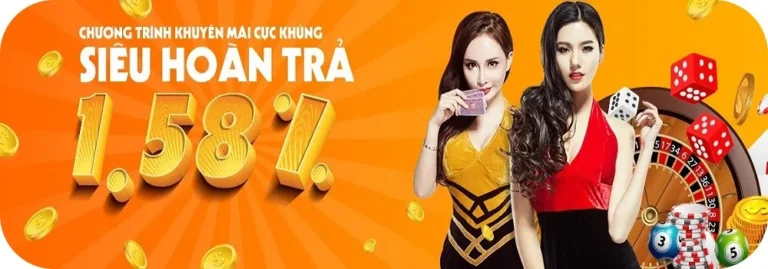 d88win hoàn trả